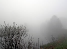 Nebel1